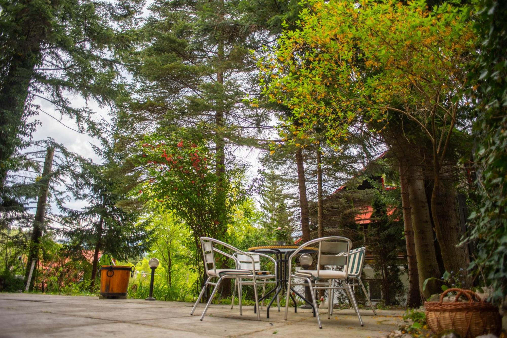 Villa Sara In Sinaia Near Peles & Gondola מראה חיצוני תמונה